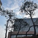 안부플라워 | 서울 강남 예식장 추천 호텔 결혼식 하객후기 : 삼정호텔 웨딩 아도니스홀