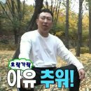 흰고래스튜디오