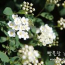 오늘,지금 이미지