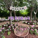 경남 거창 가볼만한곳, 창포원 수국 명소 실시간 개화 후기