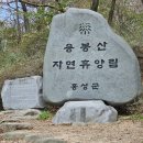 2023. 11월 충남 홍성 순례 - 용봉산 용봉사 이미지