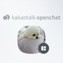 멍미용 이미지
