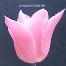 행운 여인숙 이미지