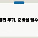 발리2 이미지