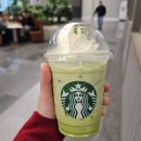 동진캐슬 | 3월~4월중순 일상 / 위염 딱 대. 그치만 카페인 중독 벗어나기 실패 / 입사 1주년이라니? / 묵호여행과...