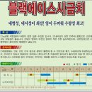 ＜판매완료＞셀러리, 시금치 씨앗 팝니다. 이미지