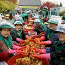 (12/15) 배추김치 담그기 이미지