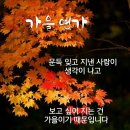 더여행가자 이미지