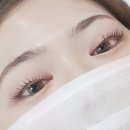 더나인뷰티 이미지