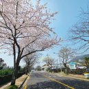 호근서호로 이미지