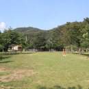 비발디 캠핑파크 이미지