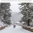 정암사 이미지