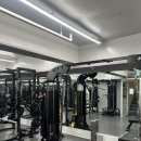 피티온도 이미지