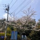 구암동315 이미지