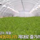 육동 이미지