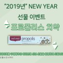 뉴질랜드네이쳐