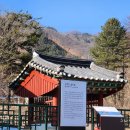 강영천 효자문 이미지