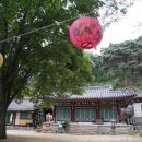 백족사 - 1210 | 백족사
