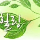 법무법인푸른 이미지