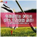 버디스크린연습장 이미지