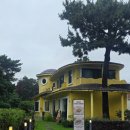 카페소낭 - 서귀포시 천제연로 127-1 | 제주 서귀포 중문 카페, 카페소낭 방문 후기 (강아지 입장 가능)