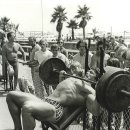 아놀드헬스 이미지