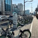 코리안탑팀 강서 이미지