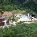 남전약수 이미지