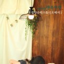 설탕수박