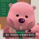 옐로우송버드 이미지