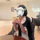 미트파티고기뷔페(월곡점) | 이집트 후루가다 올인클루시브 리조트 'Sunrise Alma Bay Resort' 후기