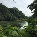 초리저수지 이미지