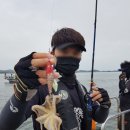 비다쭈꾸미 이미지