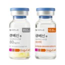 21세기 정약국 데일리벳