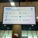 소노펠리체 델피노 이미지