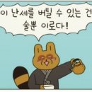 어부참치