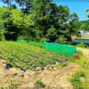 독점농장 이미지