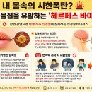 로제피부과의원 - 동구 안심로 106 | 피곤하면 어김없이 입술 찌릿? 입술 물집(구순포진) 원인과 흉터 없는 올바른 대처·치료 방법