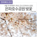 2024년 4월 5일(금) "군산벚꽃" & 공감선유 이미지