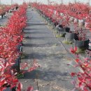 우리 농장 이미지