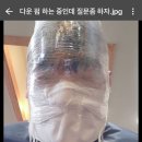 예들아 나 젤리펌 중이야 처망하면 어떻카지 이미지