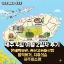 추자2-1소교량 | 4월 제주, 내돈내산 기록용) 2일차:본태박물관, 중문고등어쌈밥, 불턱버거, 치유의숲, 추자회소랑