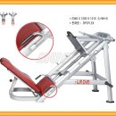 바디라이프 이미지