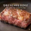 하동읍 | [경남 하동 맛집] 하동가식육식당 교정 중에도, 어른신도 감탄한 부드러운 꽃갈비살 후기