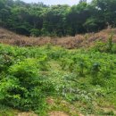 병순농장 이미지