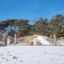 묘 미 앤 이미지