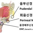부전 | [발기부전치료후기] 약물, 정신과 치료도 효과 없던 케이스.