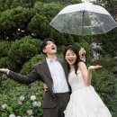 디하우스 이미지