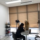 펫글뷰티 이미지