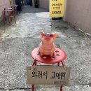 GWC 갱상남도 위스키클럽 이미지